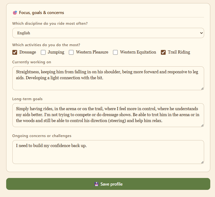 Profile section where you enter your focus, goals and concerns.